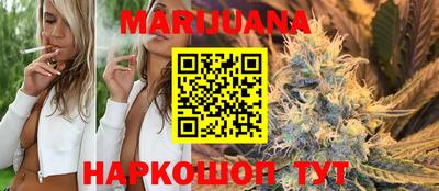 трава Гатчина