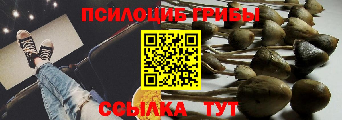 Зима  Псилоцибиновые грибы мухоморы  Псилоцибиновые грибы Psilocybine cubensis  Вход с VPN 