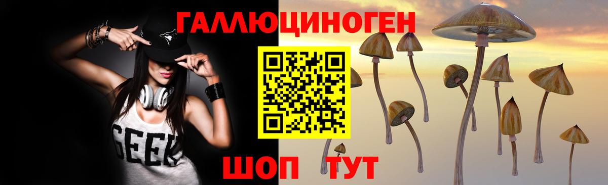 Псилоцибиновые грибы GOLDEN TEACHER Зима